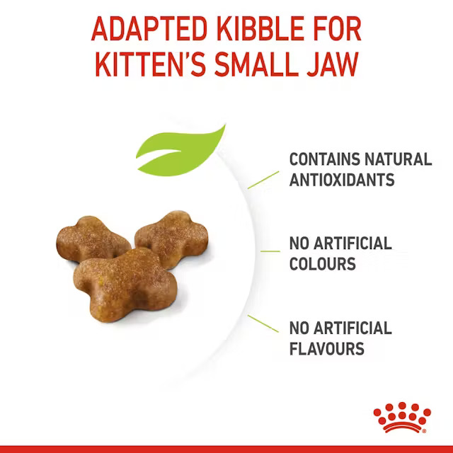غذای خشک بچه گربه کیتن رویال کنین Royal Canin Kitten